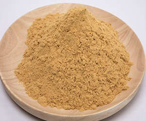 �ۺ������F ���۠����w���